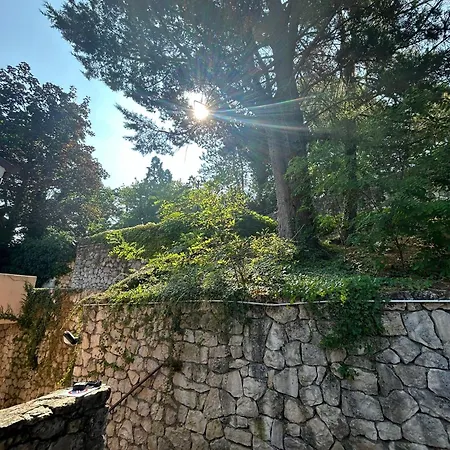 Magnolie Appartement